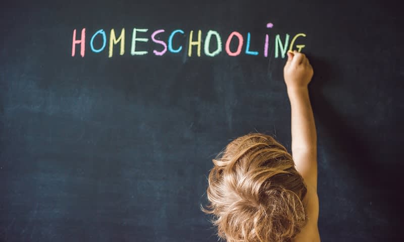 Mengenal Sistem Pendidikan Homeschooling